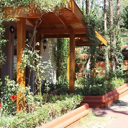 Boncuklu Otel Oludeniz Exterior foto